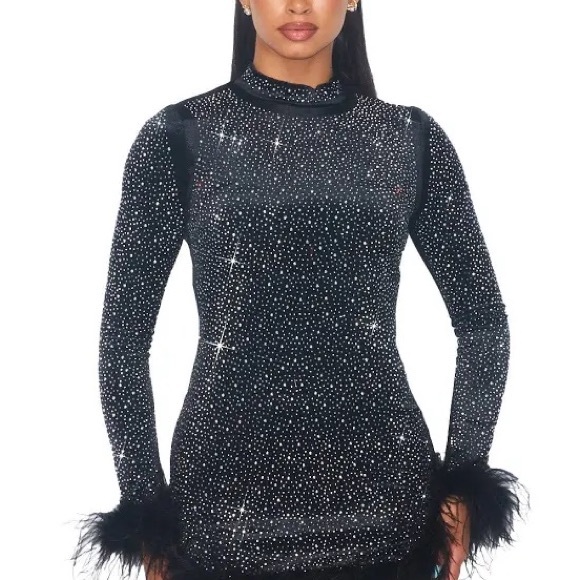 Gem & Feather Party Dress - Picture 2 of 5